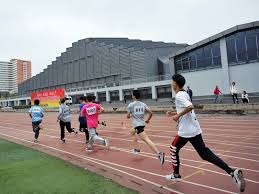 职业网球运动员的安全困境：从拉杜卡努事件看系统性保护缺失