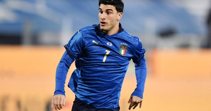 群体庞大 群体庞大