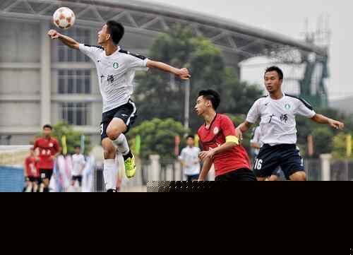 篮网 篮网